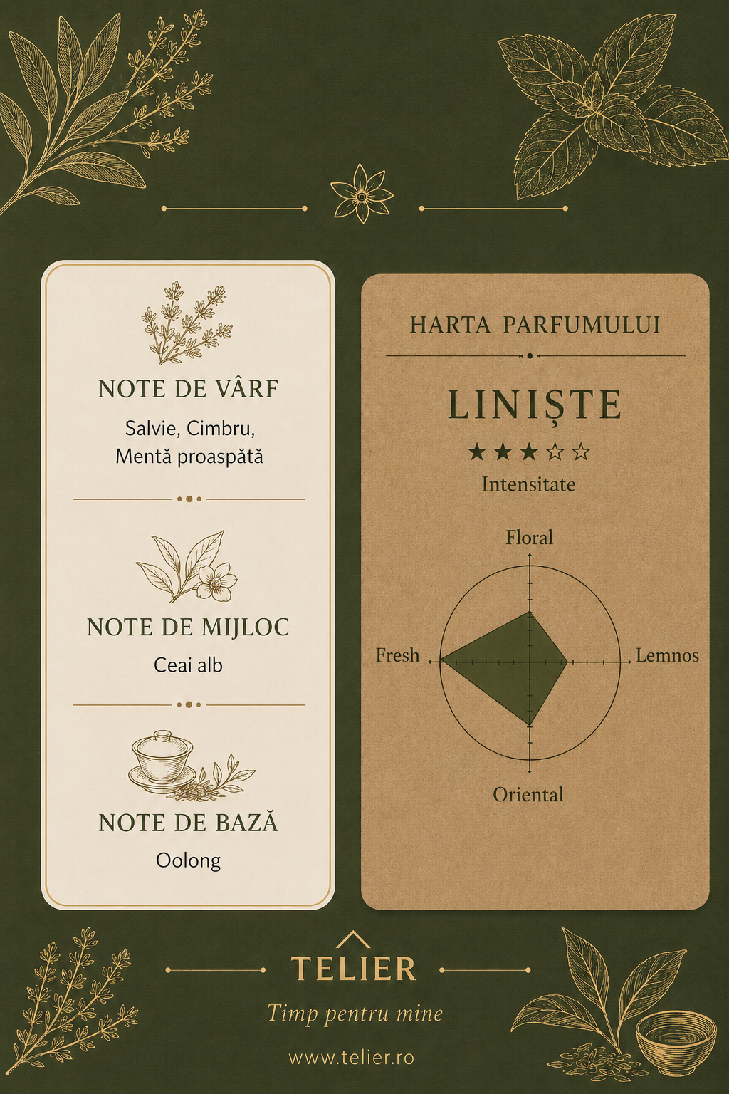 Harta olfactivă a lumânării Liniște, cu salvie, cimbru, mentă, ceai alb și oolong